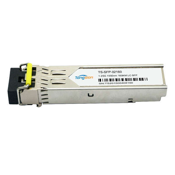 SFP-02160.jpg